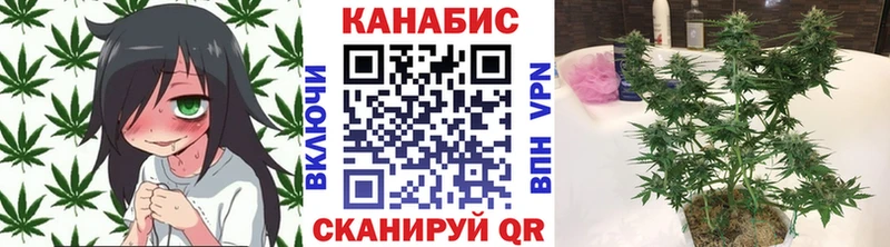 Купить закладку Бошки Шишки  Alpha-PVP  Меф  Инза