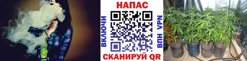 Канабис SATIVA & INDICA  Купить где  Инза 